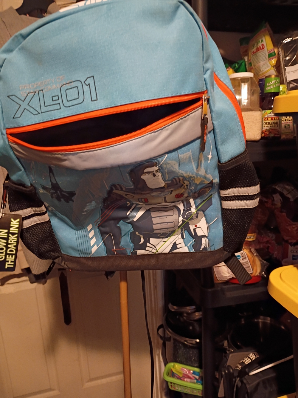 Disney Light Blue and Orange Kids Backpack with Character Print